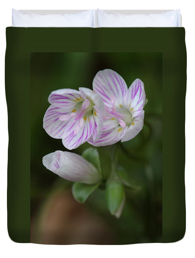 Spring Beauty Duvet Cover featuring the photograph Spring Beauty by Daniel Reed