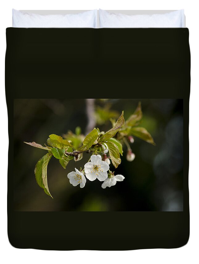 Branch Duvet Cover featuring the photograph Spring Blossom by Spikey Mouse Photography