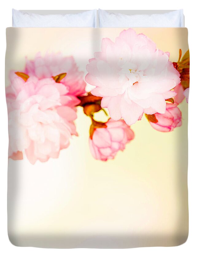 Sparse Duvet Cover featuring the photograph Spring Cherry Blossom With Copy Space by Catlane