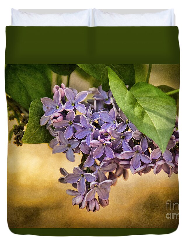 Lilac Duvet Cover featuring the photograph Spring Dreaming by Peggy Hughes