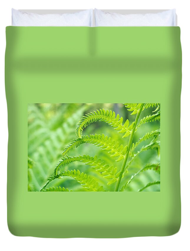 Flowers & Plants Duvet Cover featuring the photograph Spring Fern by Lars Lentz