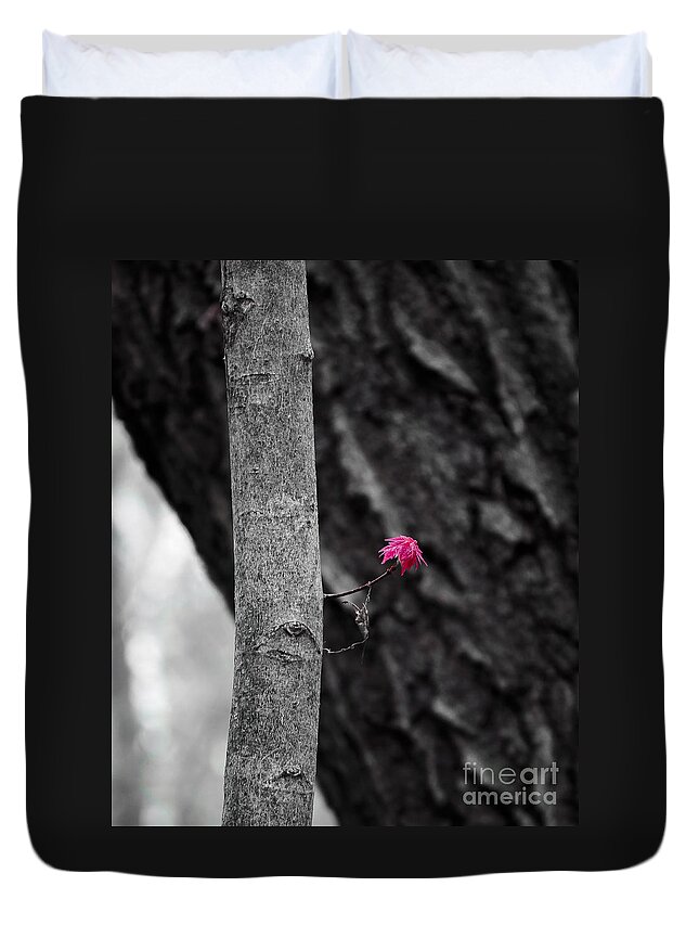 Natural Bridge Duvet Cover featuring the photograph Spring Maple Growth by Steven Ralser
