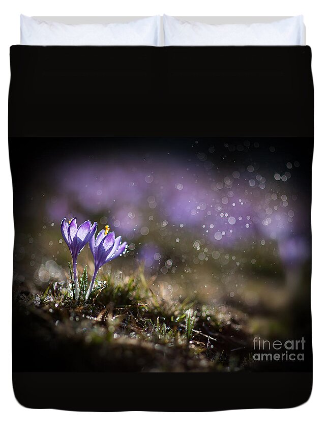 Spring Duvet Cover featuring the photograph Spring impression I by Jaroslaw Blaminsky
