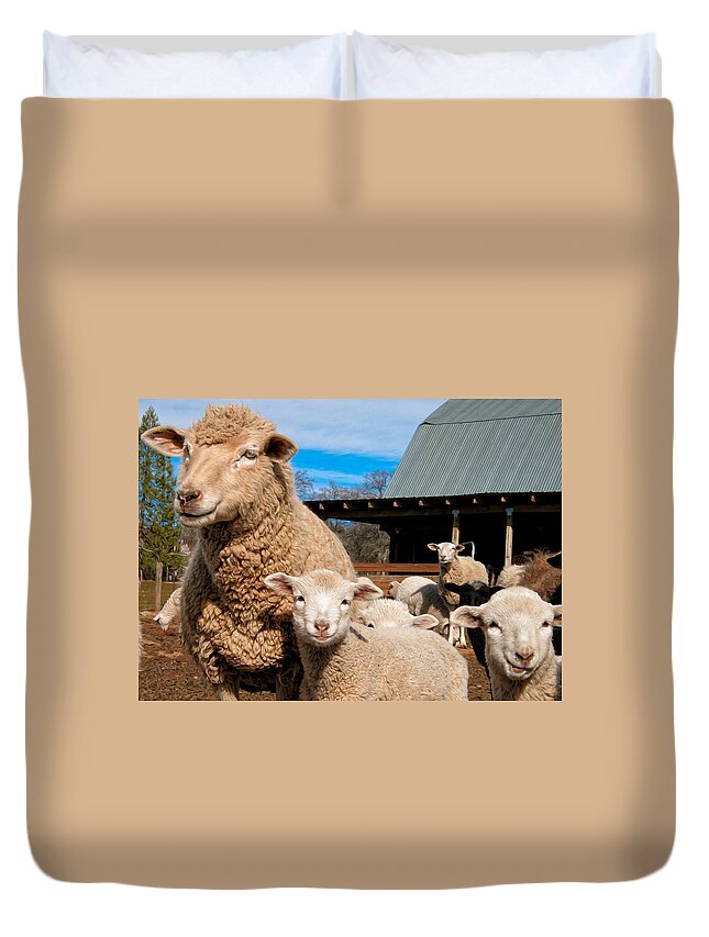 Sheep Duvet Cover featuring the photograph Spring Lambs by Kathleen Bishop