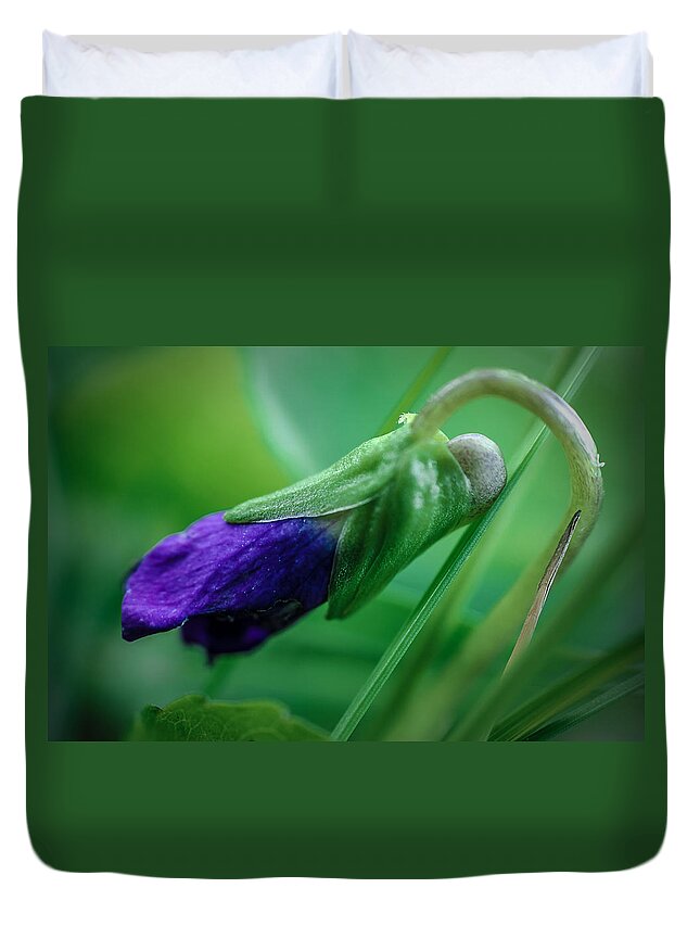 Violet Duvet Cover featuring the photograph Spring Violet by Rick Bartrand
