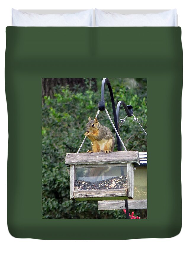 Squirrel Duvet Cover featuring the photograph Squirrel by Ella Kaye Dickey