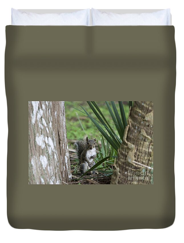 Squirrel Duvet Cover featuring the photograph Squirrel by John Greco