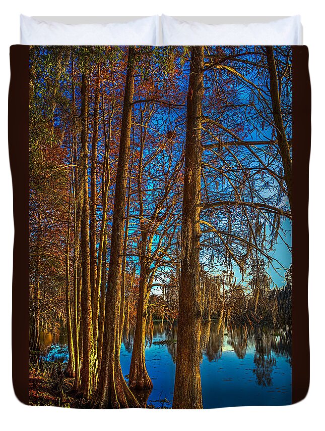Cypress Trees Duvet Cover featuring the photograph Stand Tall by Marvin Spates