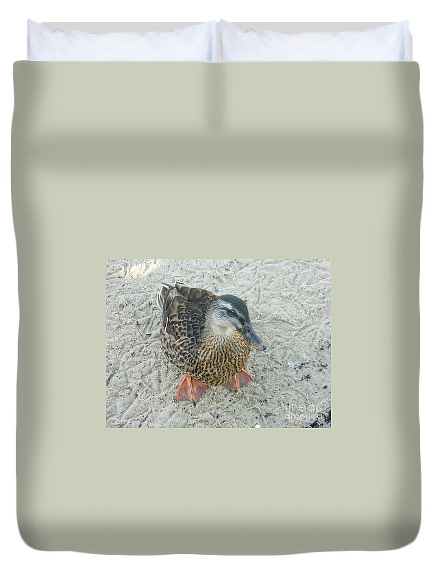 Standing At Attention Duvet Cover featuring the photograph Standing At Attention by Emmy Vickers