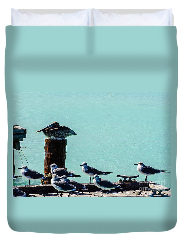 Aruba Duvet Cover featuring the photograph Standing Guard by Judy Wolinsky