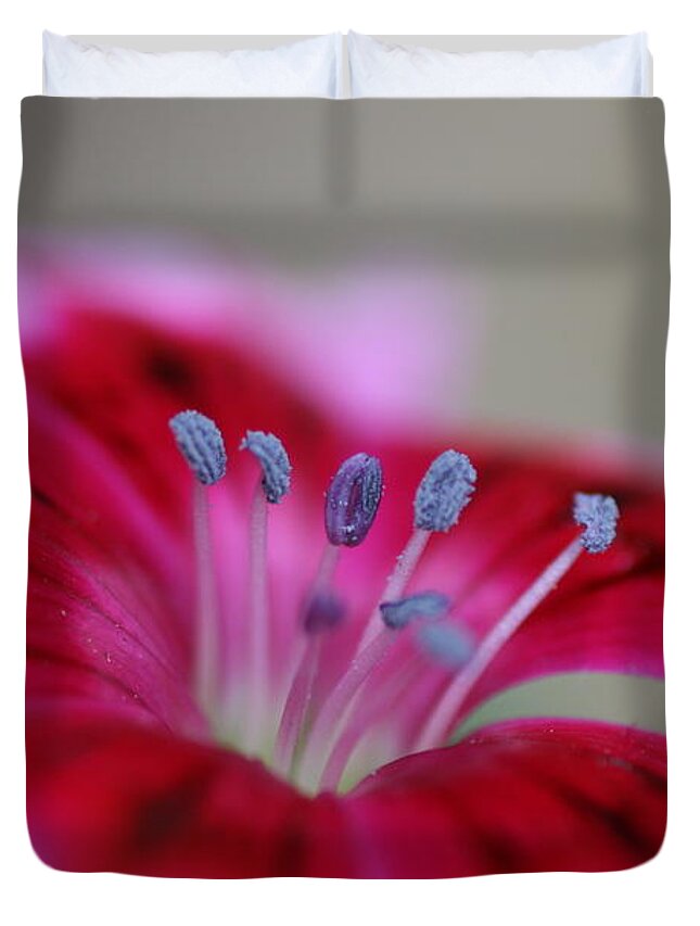 Sweet William Duvet Cover featuring the photograph Standing tall Sweet William by Joy Watson