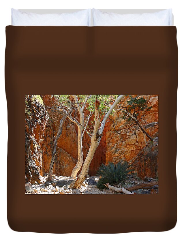 Light Duvet Cover featuring the photograph Standley Chasm by Evelyn Tambour