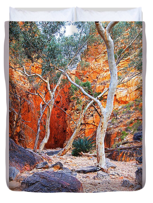 Stanley Chasm Outback Central Australia Landscape Northern Territory Australian West Mcdonnell Ranges Duvet Cover featuring the photograph Stanley Chasm by Bill Robinson