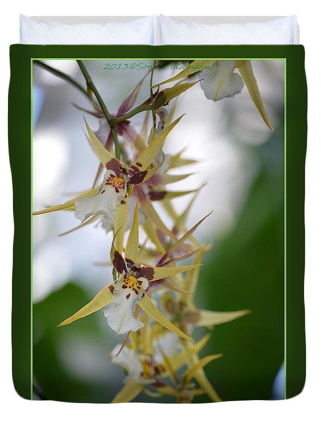 Anniversary Flower Duvet Cover featuring the photograph Star orchids by Sonali Gangane