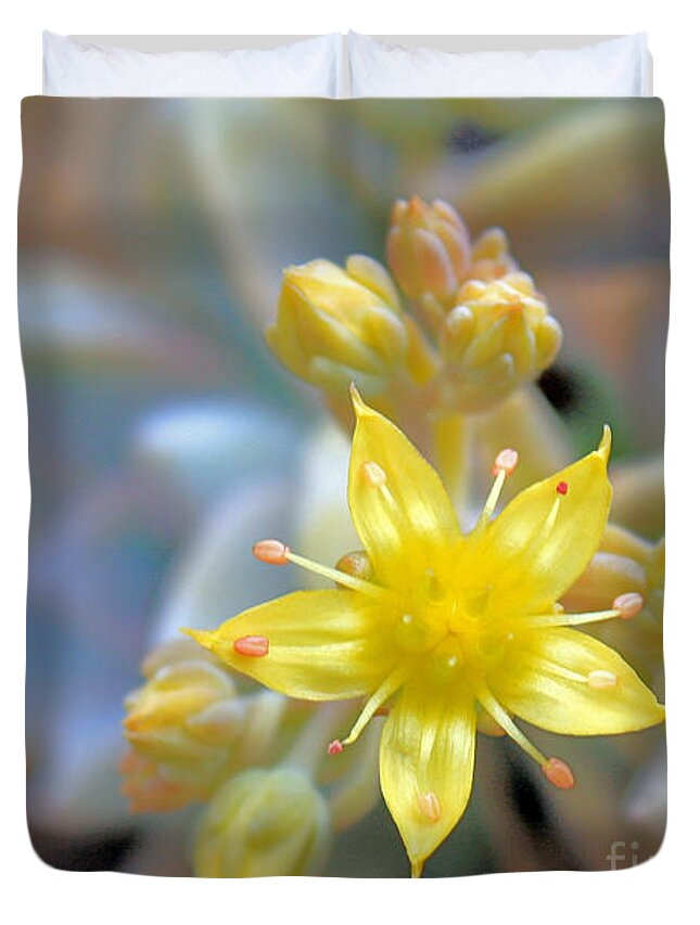 Yellow Flower Duvet Cover featuring the photograph Starburst by Kelly Holm