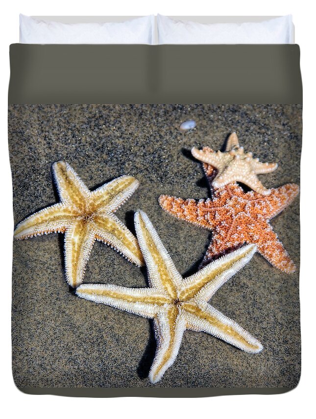 Starfish Duvet Cover For Sale By Tammy Espino