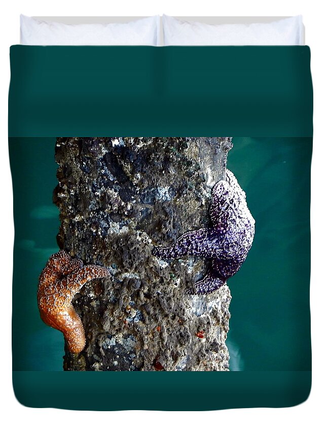 Starfish Duvet Cover featuring the photograph Starfish Under the Pier by Kathy Churchman