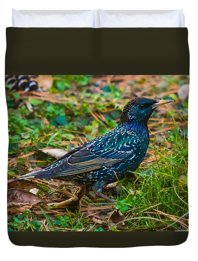 European Starling Duvet Cover featuring the photograph Stars come out in the daytime too by Robert L Jackson