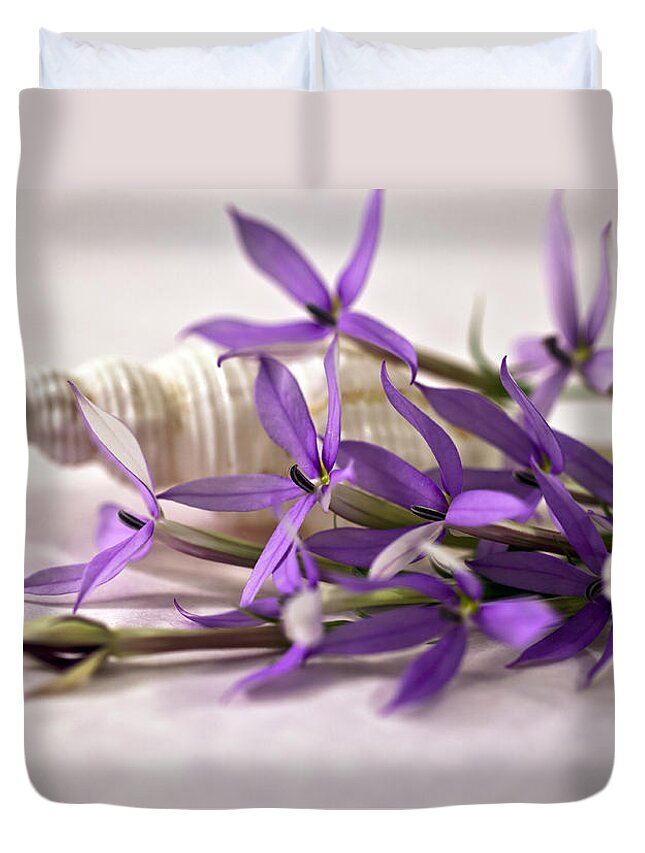 Purple Laurentia Star Flowers Duvet Cover featuring the photograph Starshine Laurentia Flowers And White Shell by Sandra Foster