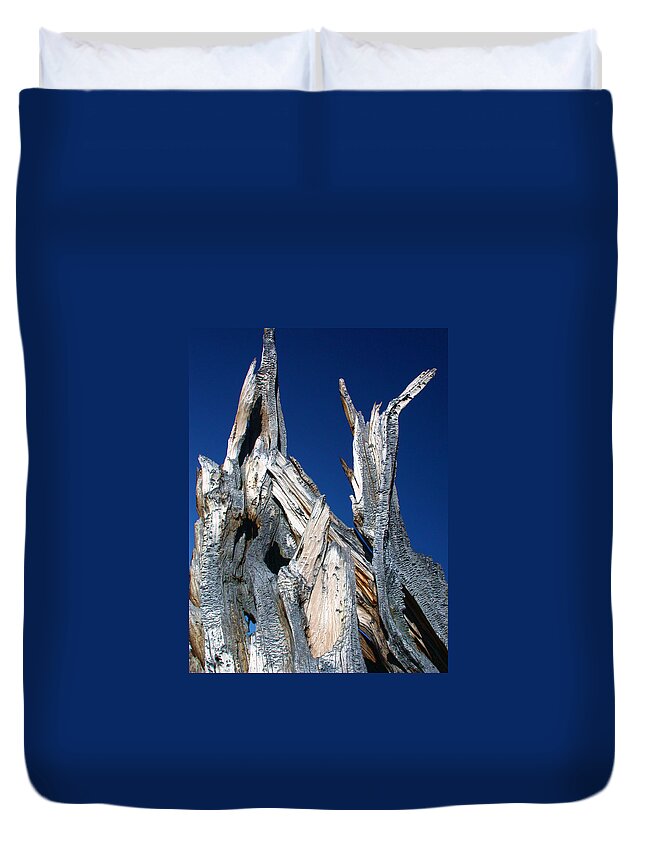 Roots Duvet Cover featuring the photograph Steeple Roots by Shane Bechler