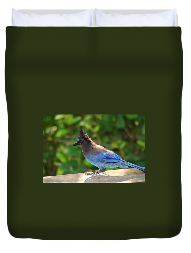 Animal Duvet Cover featuring the photograph Steller's Jay Sunbathing by Kym Backland