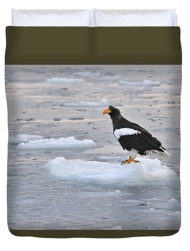 Thomas Marent Duvet Cover featuring the photograph Stellers Sea Eagle On Ice Floe Hokkaido by Thomas Marent