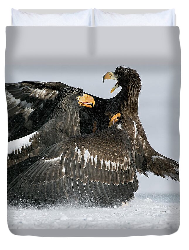 00782287 Duvet Cover featuring the photograph Stellers Sea Eagles Fighting by Sergey Gorshkov
