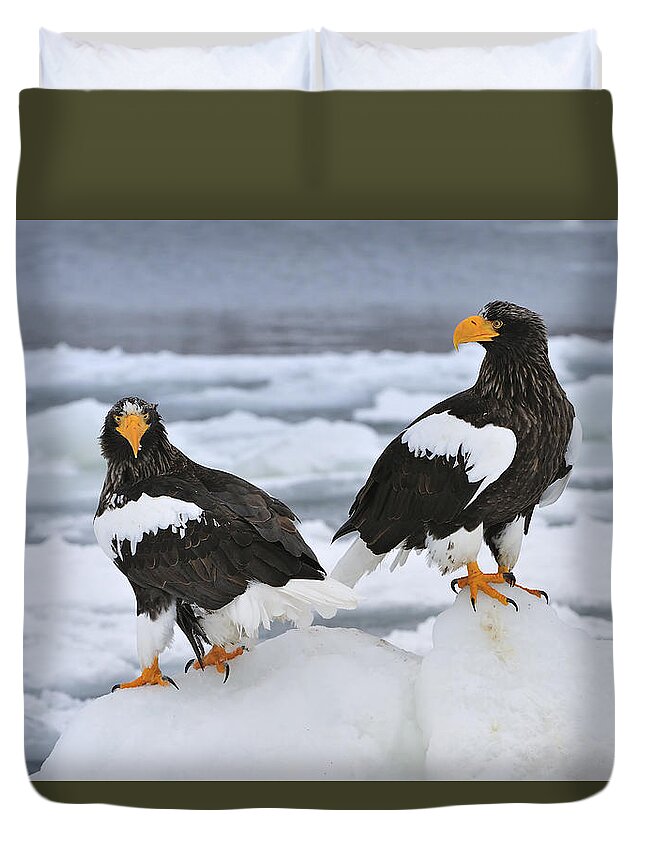 Thomas Marent Duvet Cover featuring the photograph Stellers Sea Eagles Hokkaido Japan by Thomas Marent