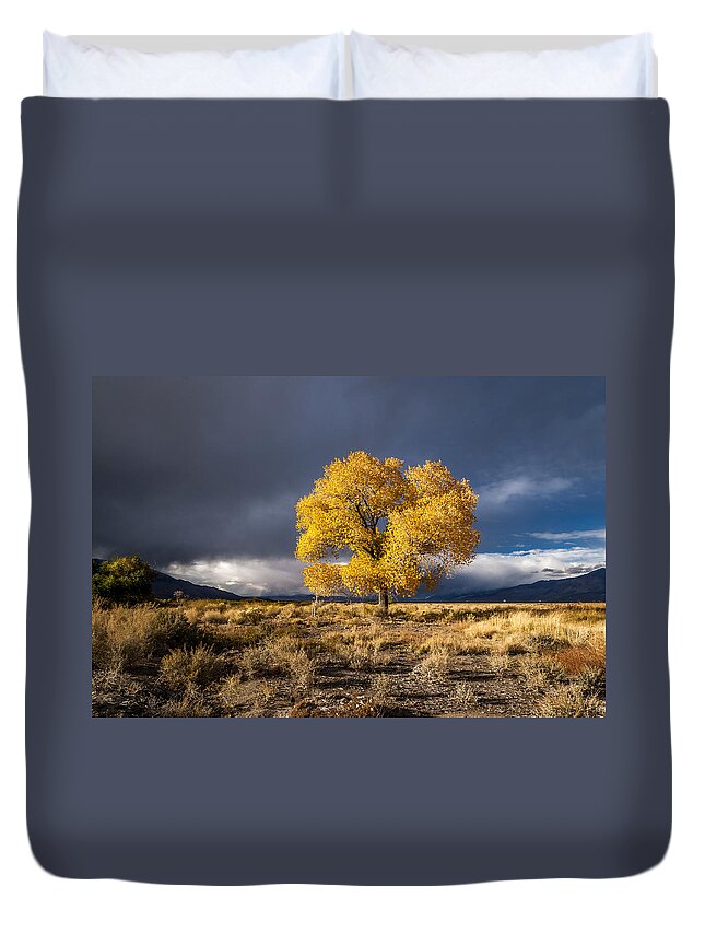 California Duvet Cover featuring the photograph Still Fall by Cat Connor