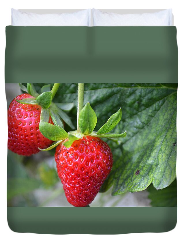 Fruit Duvet Cover featuring the photograph Strawberries by GK Hebert Photography