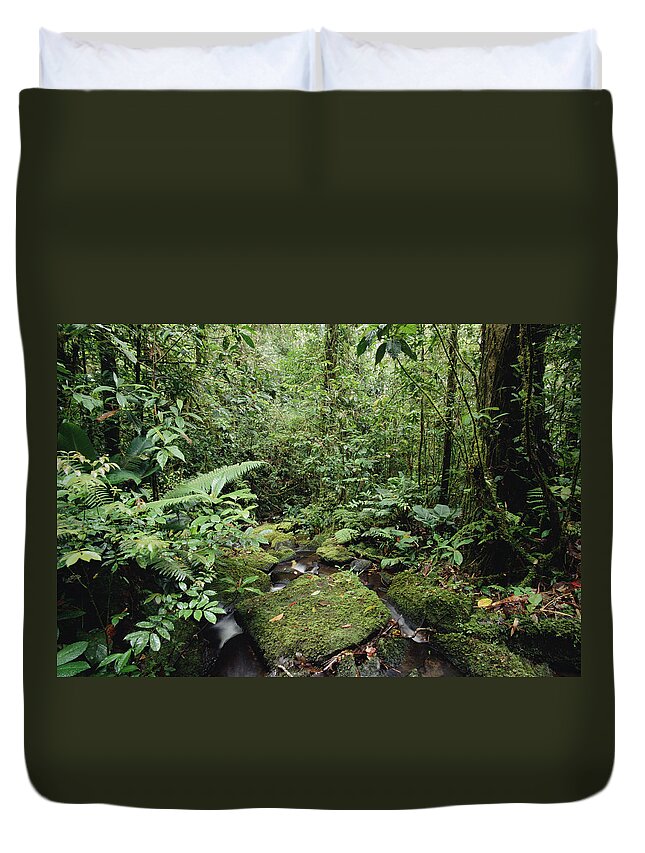 Feb0514 Duvet Cover featuring the photograph Stream In Rainforest Mt Bosavi Papua by Gerry Ellis