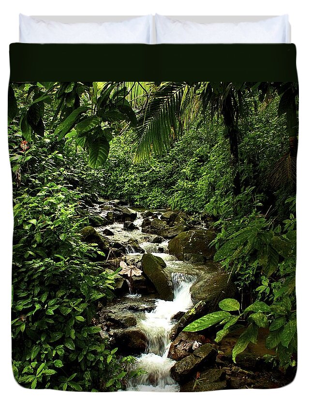 Rain Forest Duvet Cover featuring the photograph Streaming by Kathi Isserman