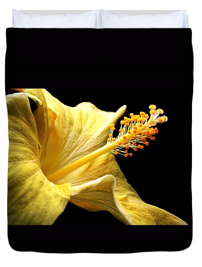 Hibiscus Duvet Cover featuring the photograph Stretcher by Doug Norkum