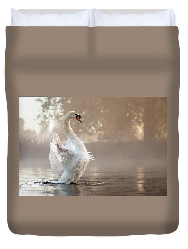 Animal Themes Duvet Cover featuring the photograph Stretching Swan by Kevin Day
