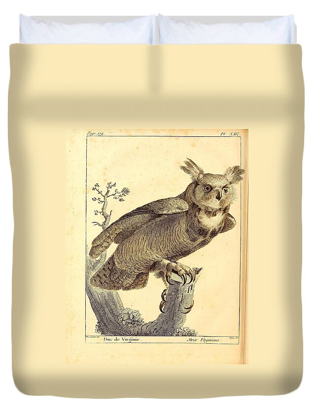 Audubon Duvet Cover featuring the painting Strix Virginiana Owl by Philip Ralley