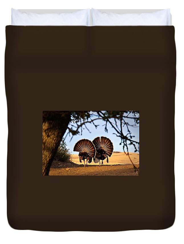 Male Duvet Cover featuring the photograph Strutten Their Stuff by Beth Sargent