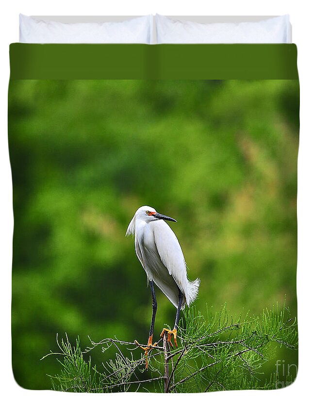 Snowy Egret Duvet Cover featuring the photograph Stunning Snowy by Al Powell Photography USA