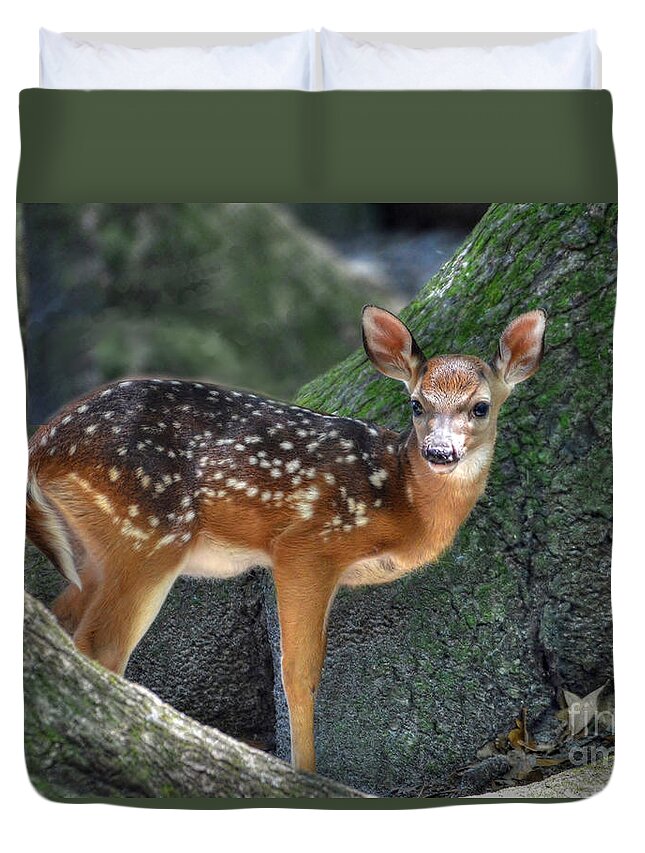 Deer Duvet Cover featuring the photograph Such A Deer by Kathy Baccari