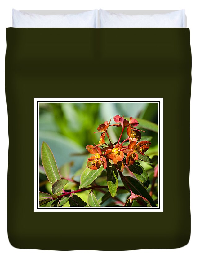Green Duvet Cover featuring the photograph Summer Flower by Spikey Mouse Photography