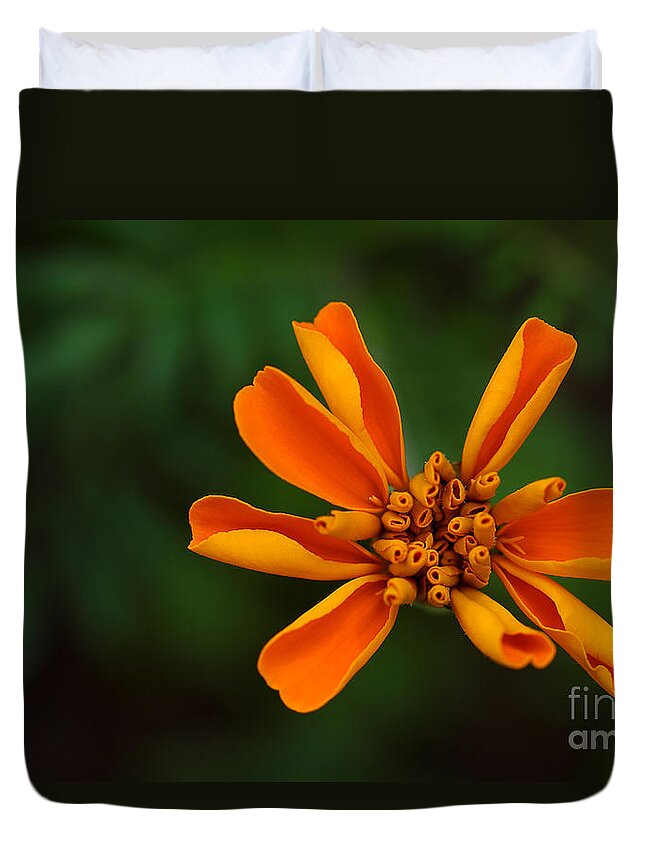 Marigold Duvet Cover featuring the photograph Summer's Unfolding by Michael Eingle