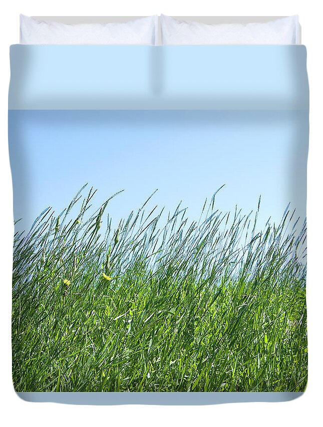 Tranquility Duvet Cover featuring the photograph Summertime Grass And Blue Sky by Thomas Firak Photography