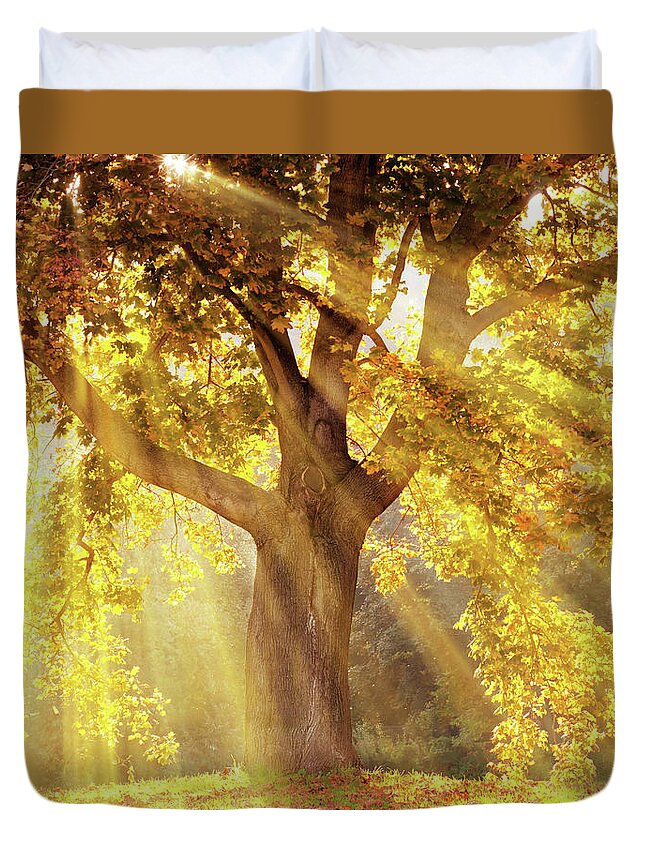 Orange Color Duvet Cover featuring the photograph Sun Rays Shining Through A Tree With by Kerrick