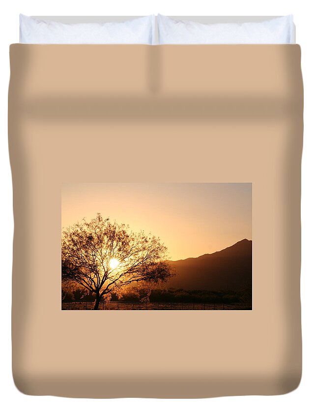 David S Reynolds Duvet Cover featuring the photograph Sun Tree by David S Reynolds