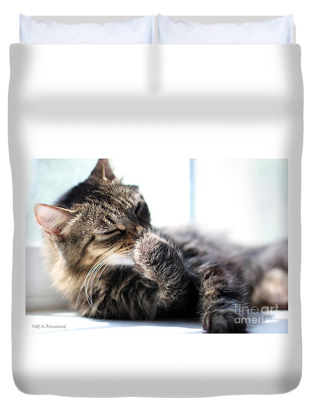 Cat Duvet Cover featuring the photograph Sunbathing by Todd Blanchard