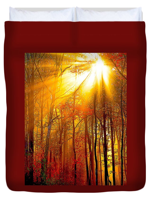 Sunburst Duvet Cover featuring the photograph Sunburst In The Forest by Randall Branham