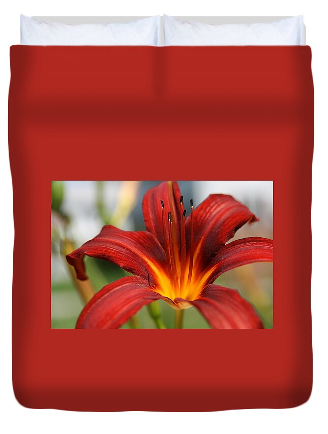 Lilies Duvet Cover featuring the photograph Sunburst Lily by Neal Eslinger