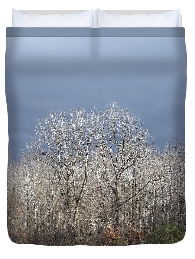 Trees Duvet Cover featuring the photograph Sunday Gray Morning by Lizi Beard-Ward
