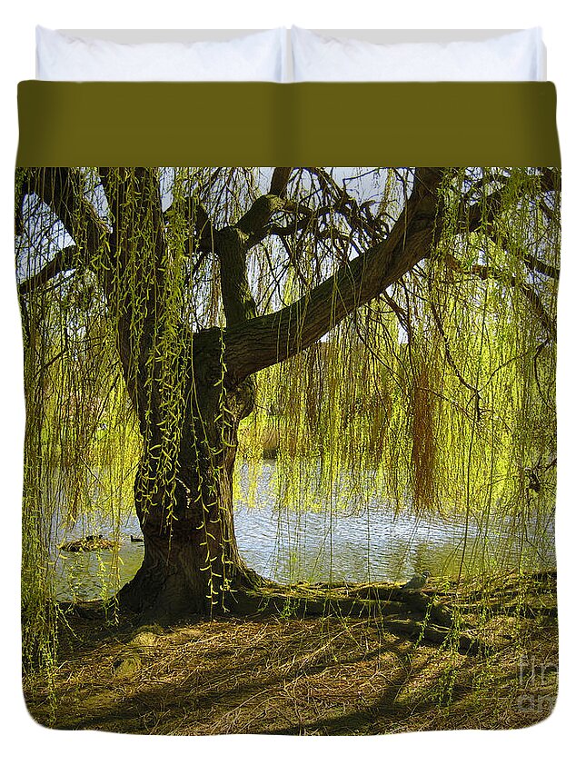 Tree Duvet Cover featuring the photograph Sunday In The Park by Madeline Ellis
