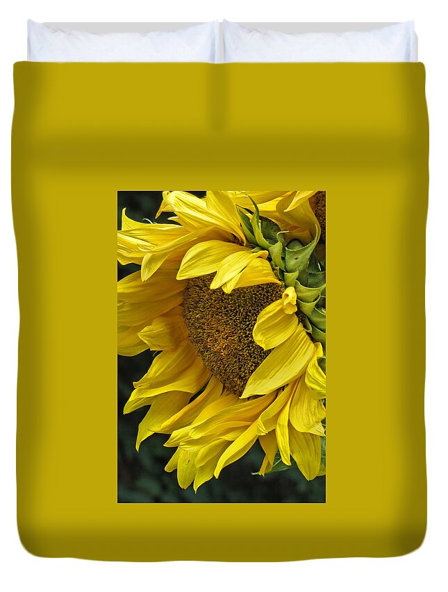 Flower Duvet Cover featuring the photograph Sunflower by Ann Bridges