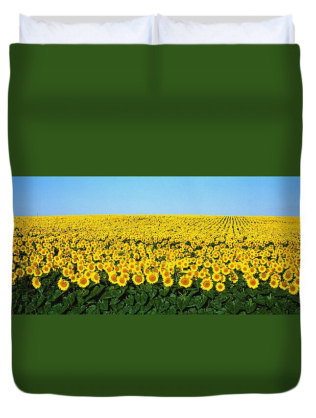 Photography Duvet Cover featuring the photograph Sunflower Field, North Dakota, Usa by Panoramic Images